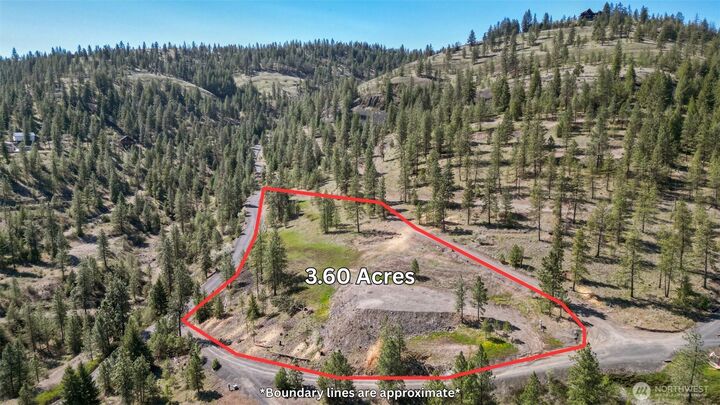 31640 E Ringneck Lane  Davenport WA 99122 photo