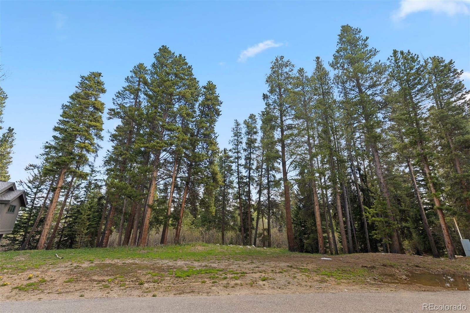 Property Photo: 28 Tall Pines Drive CO 80424