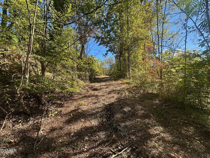 Property Photo: 361 Oakwood Drive TN 37876