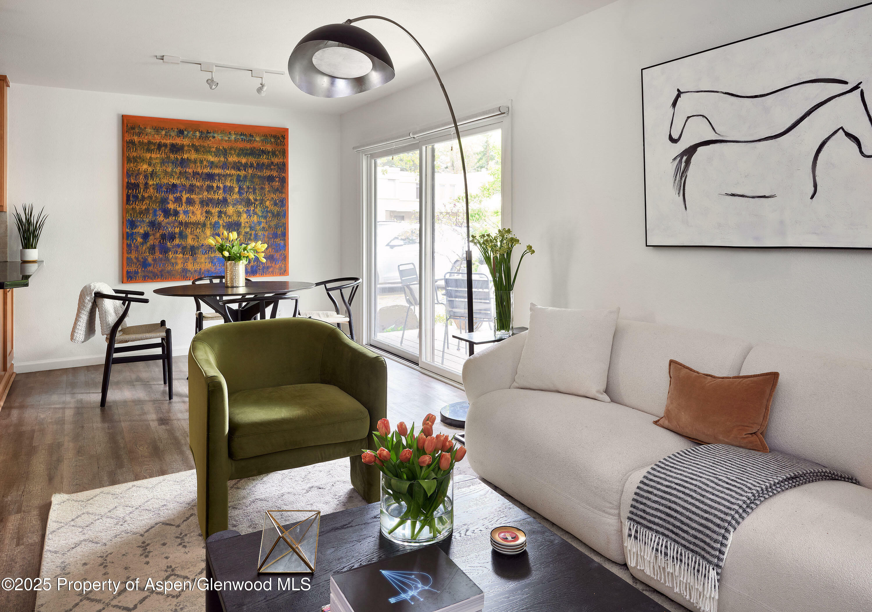 Property Photo:  814 W Bleeker Street C-1  CO 81611 