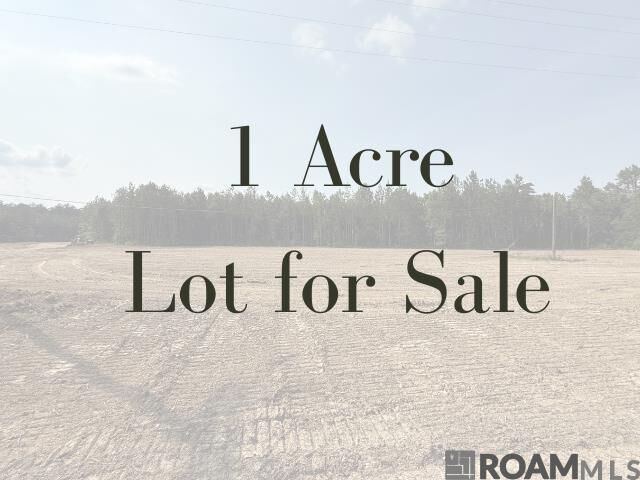 Property Photo:  19025 La Hwy 444  LA 70754 