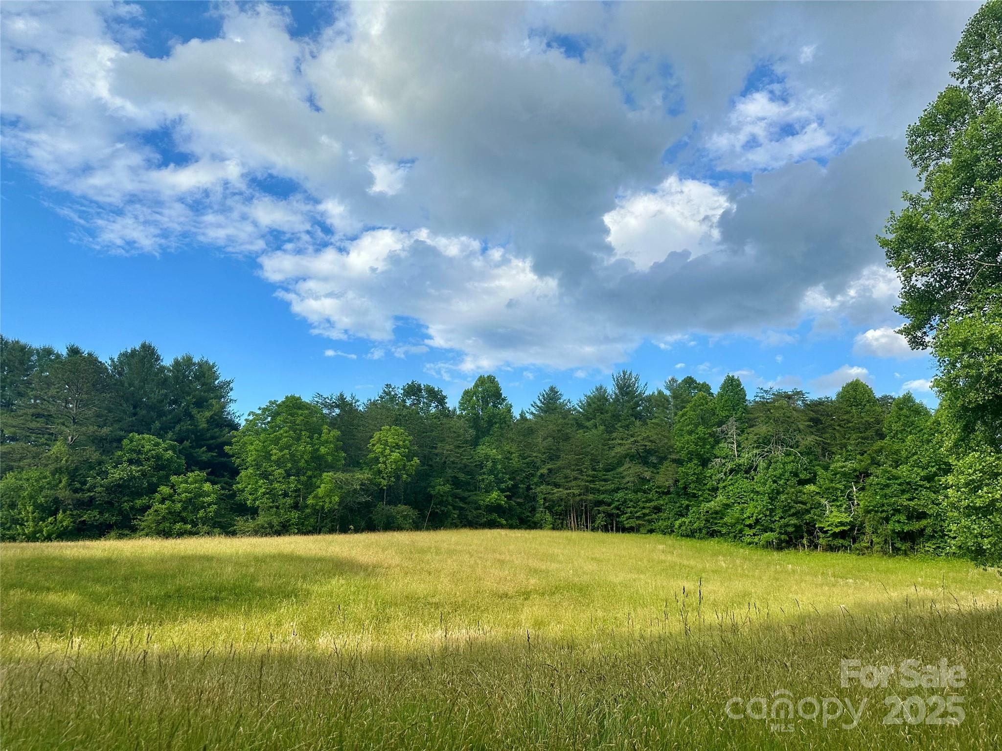 99999 Jenkins Valley Road  Alexander NC 28701 photo
