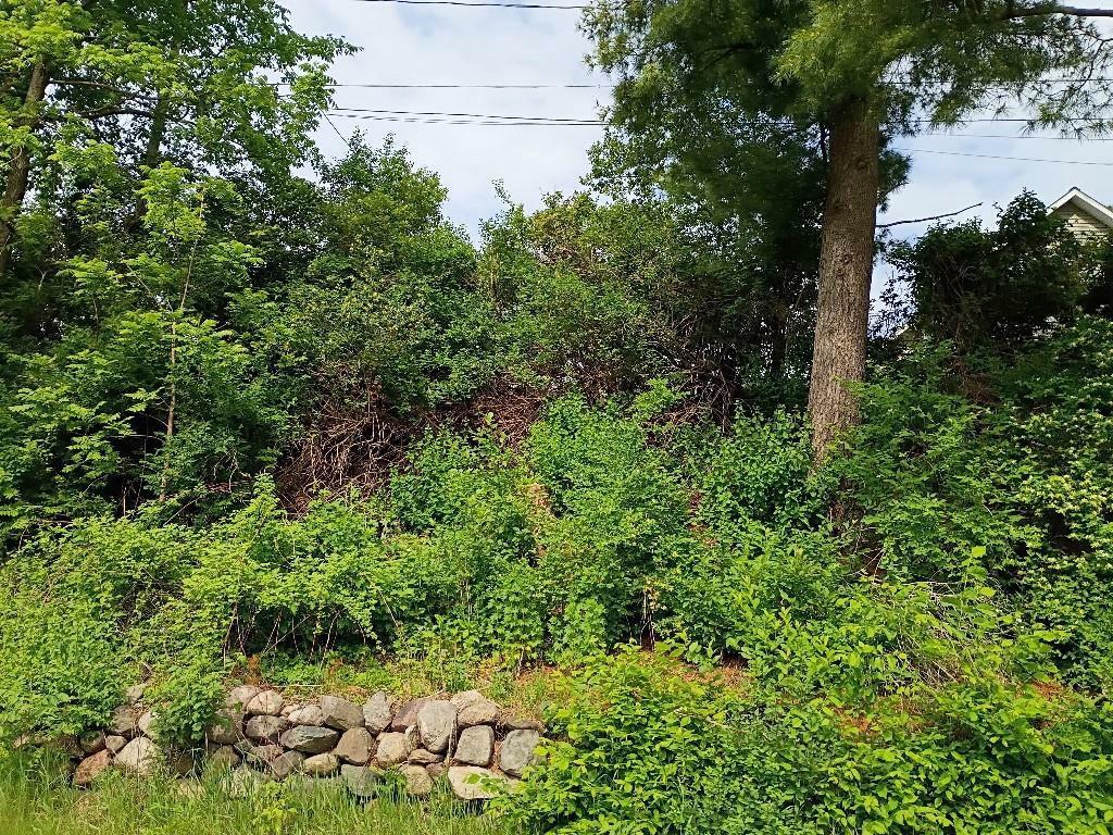 Property Photo: 203 East Street WI 54452