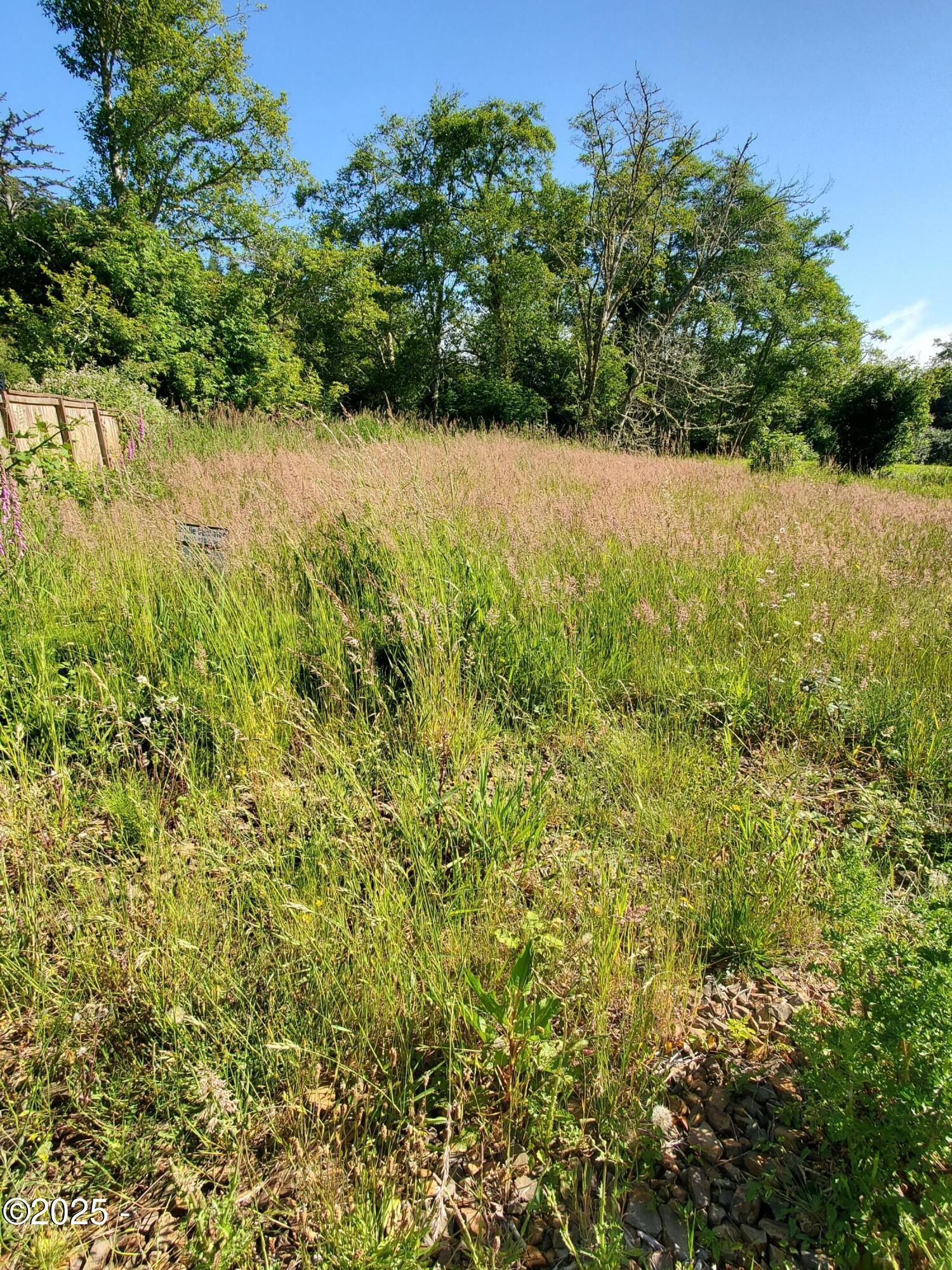 Property Photo: Tl1508 + NE East Devils Lake Road OR 97367