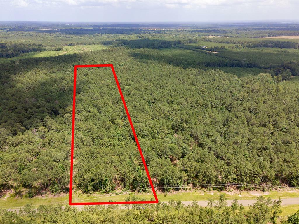 Lot 29 Eagles Nest  Broaddus TX 75929 photo