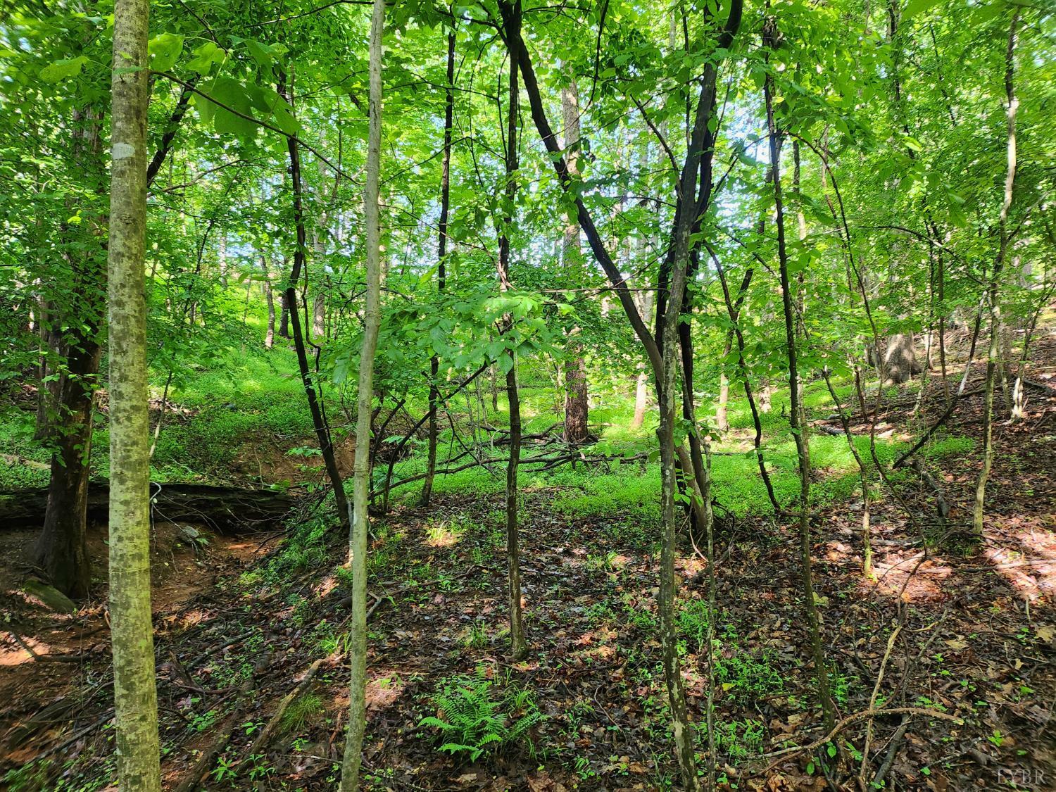 Property Photo: