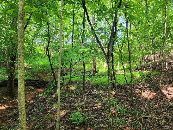Property Photo:  