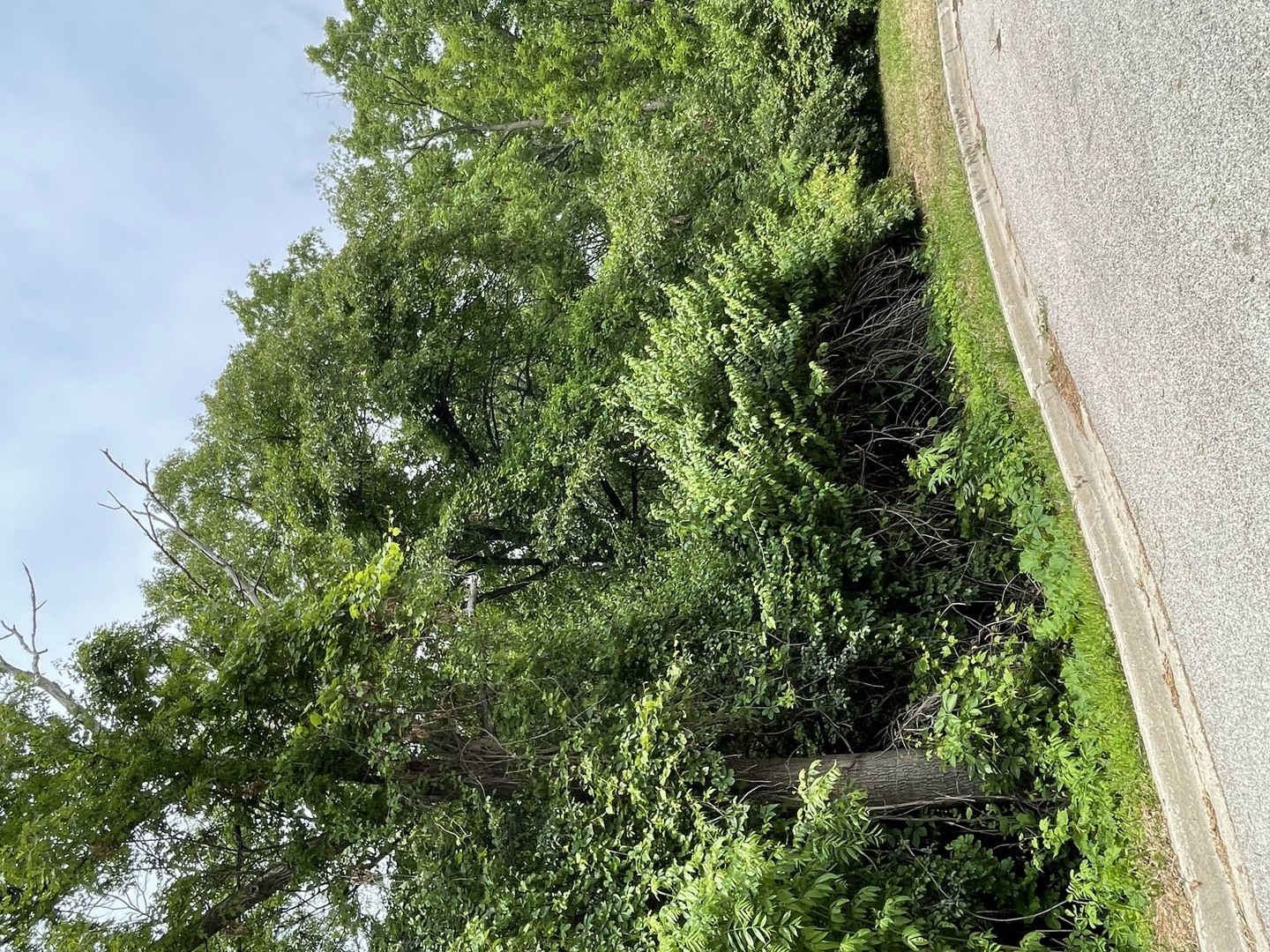 Property Photo: 7110 Forest Oak Drive IL 60050