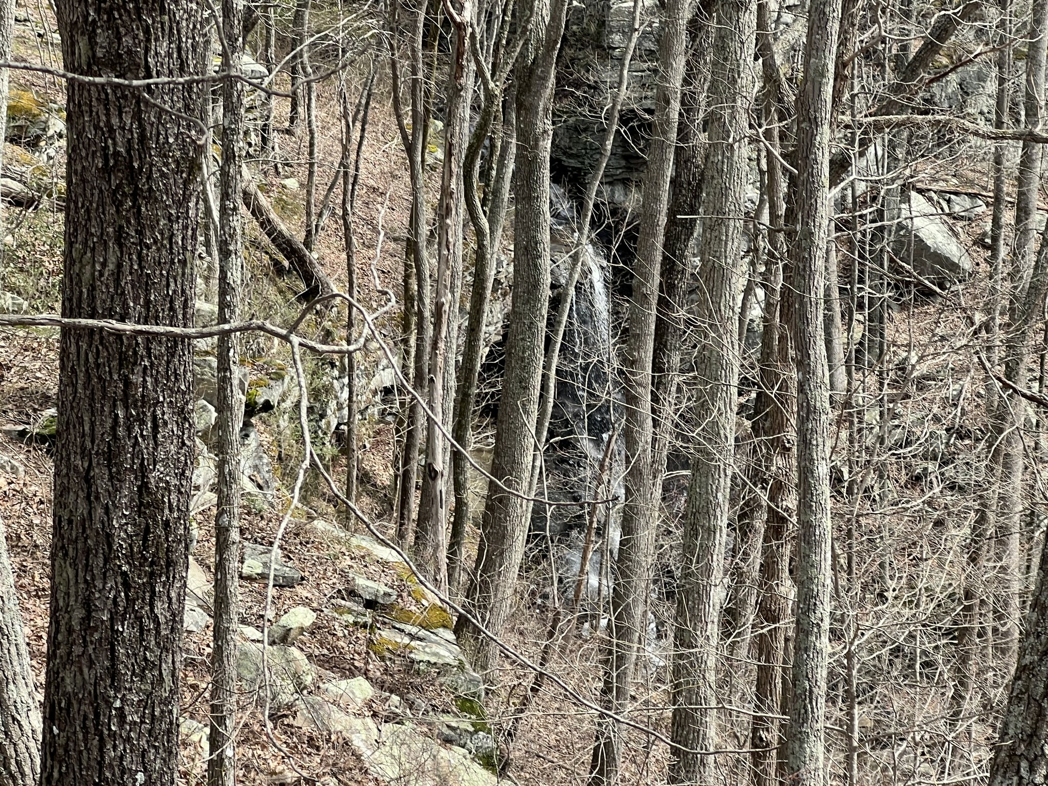 Property Photo: 4441 Deer Run Road TN 37301