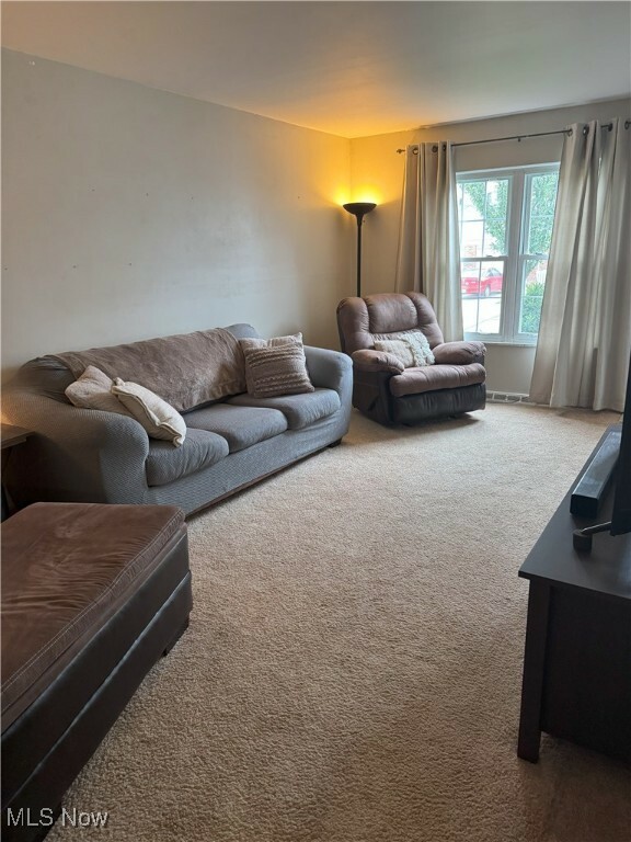 Property Photo: 110 Gaslight Lane OH 44124