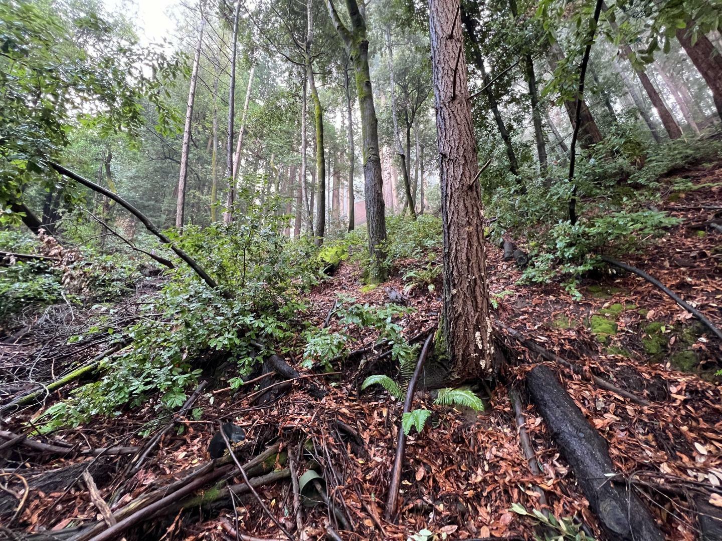 Property Photo: 0 Deer Trail Way CA 95066
