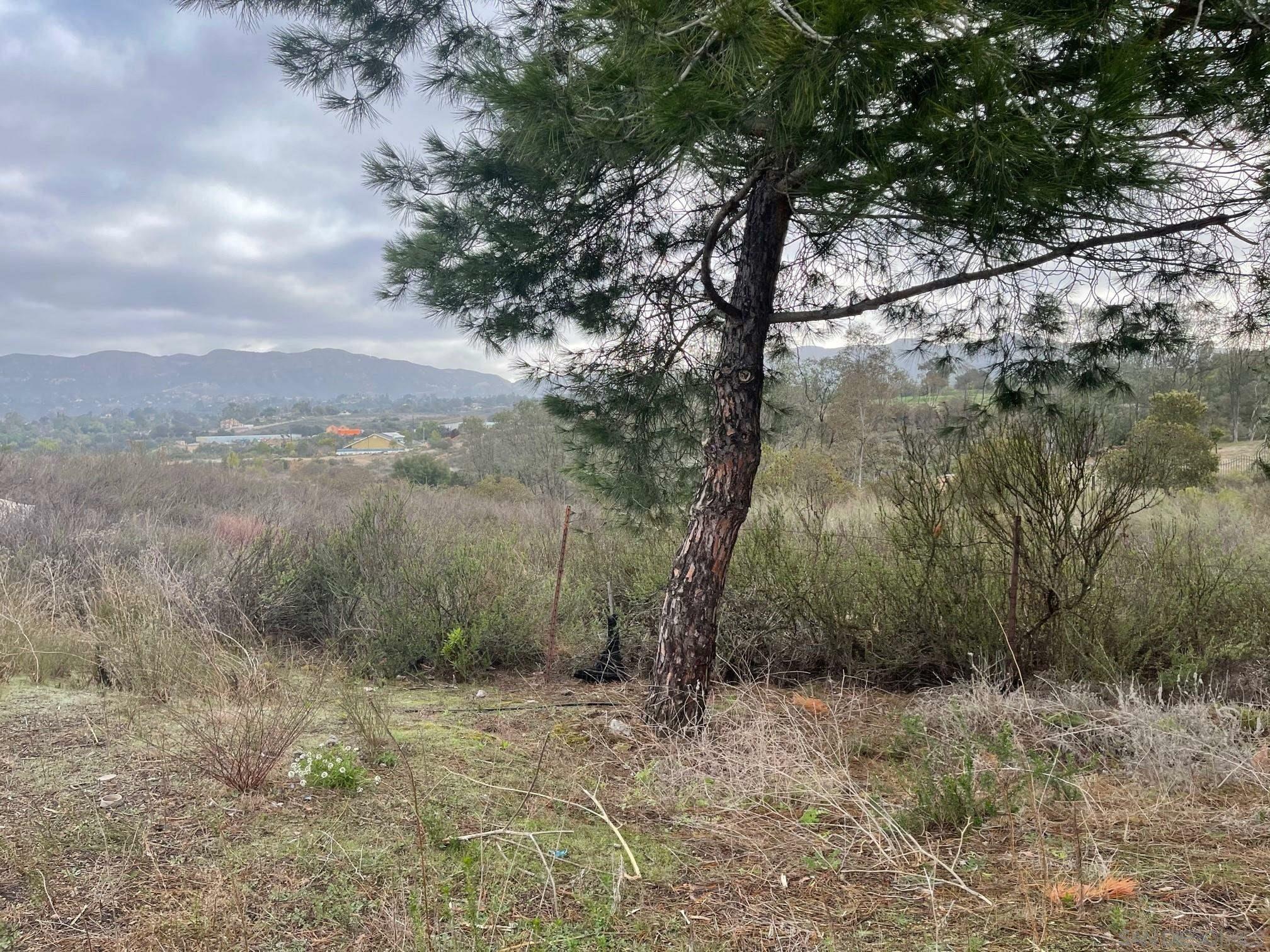 Property Photo: 89 Yacoo Ct 89 CA 91935
