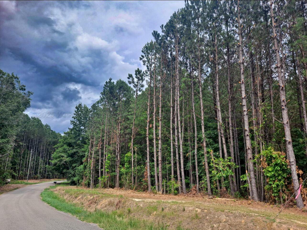 Property Photo: 1197 2 Hill Rd AL 35578