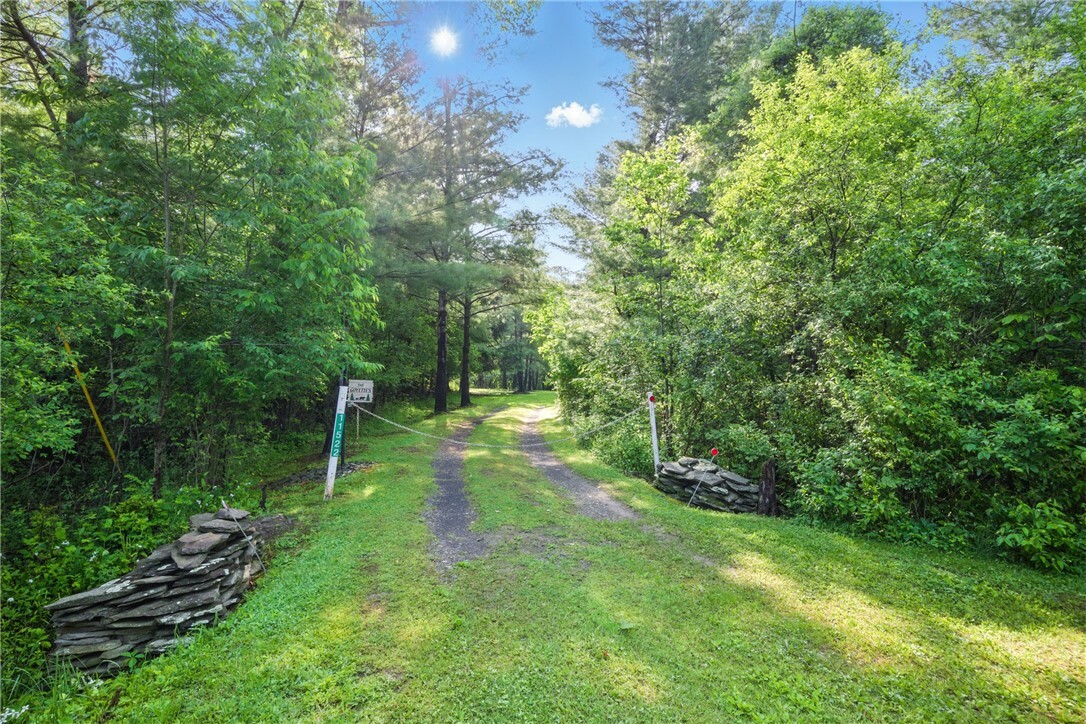11522 Thornapple  Pulteney NY 14873 photo