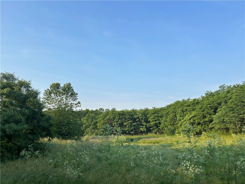 50 Acres Off Of Jordan Rd  Cisco IL 61830 photo