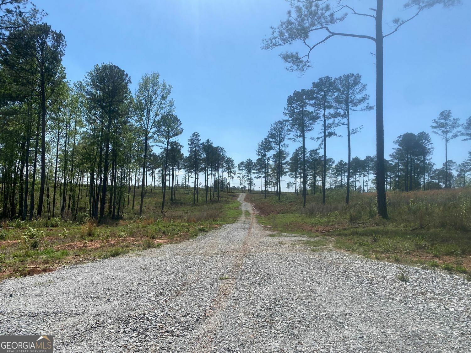 Property Photo: Lot 3 Giles Road GA 31029