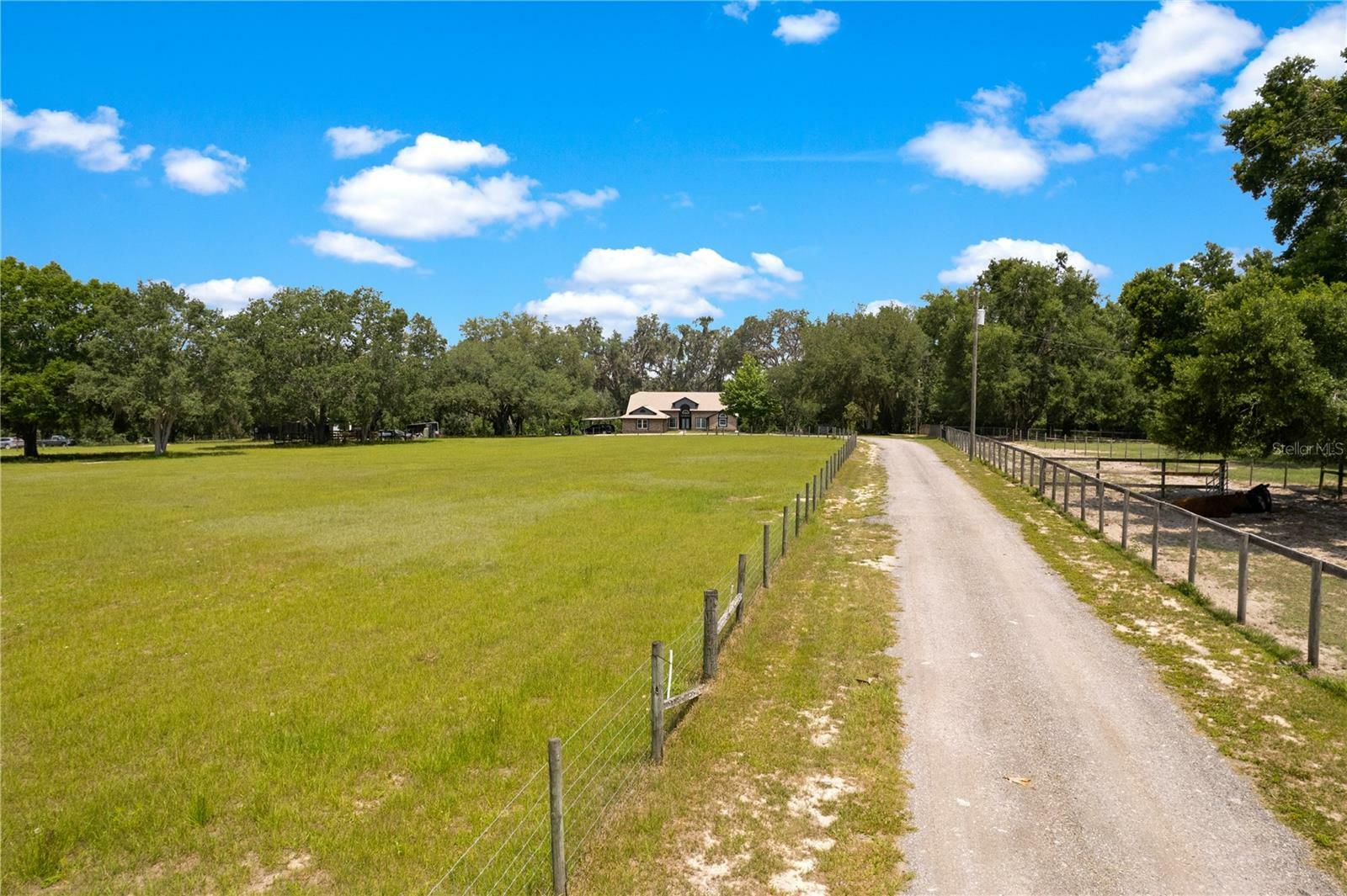 Property Photo: 31949 Amberlea Rd FL 33523