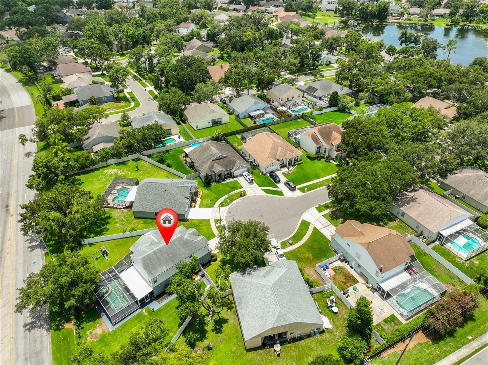 Property Photo: 3633 Springville Drive FL 33596