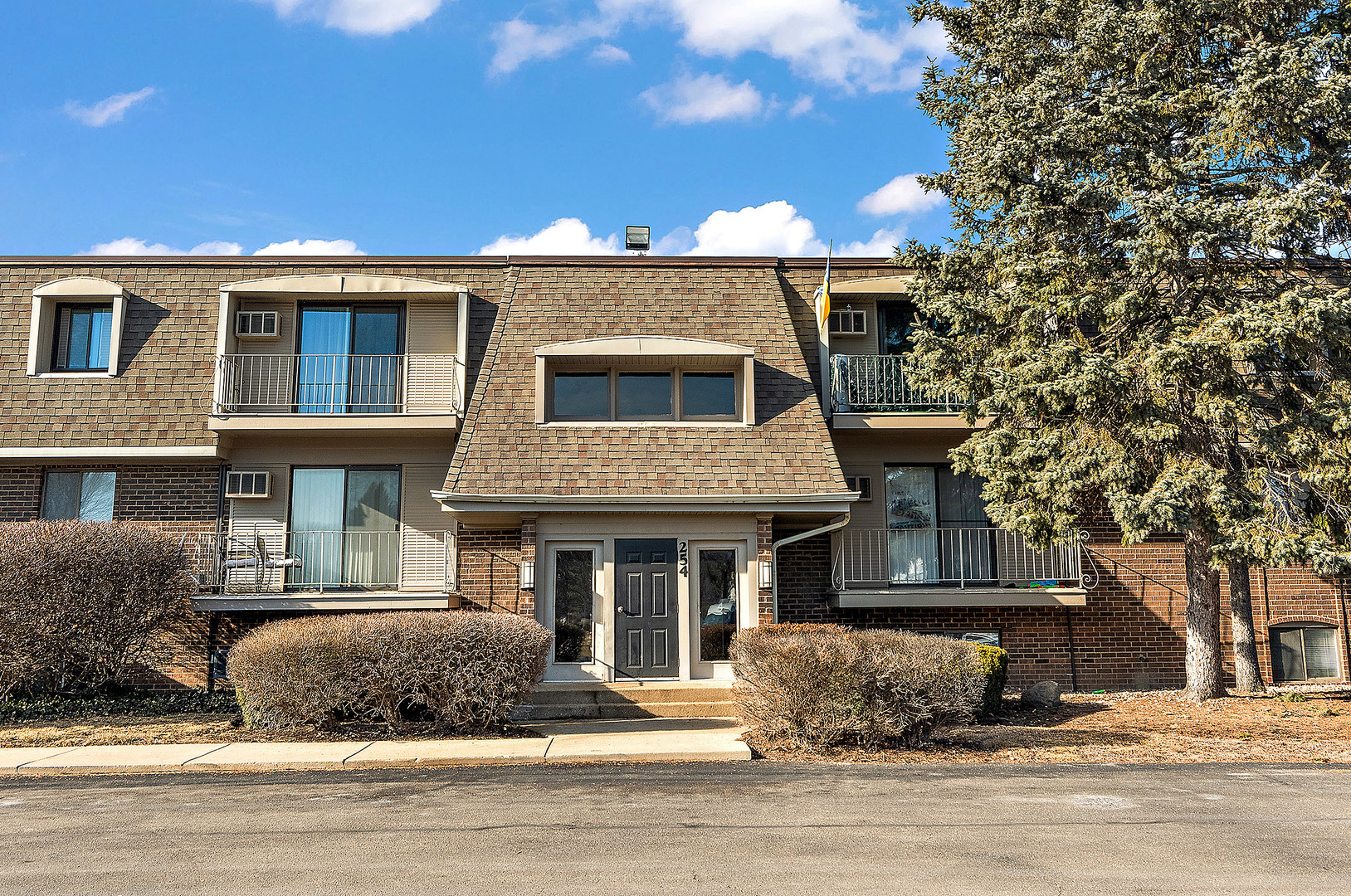 Property Photo: 254 E Bailey Road M IL 60565