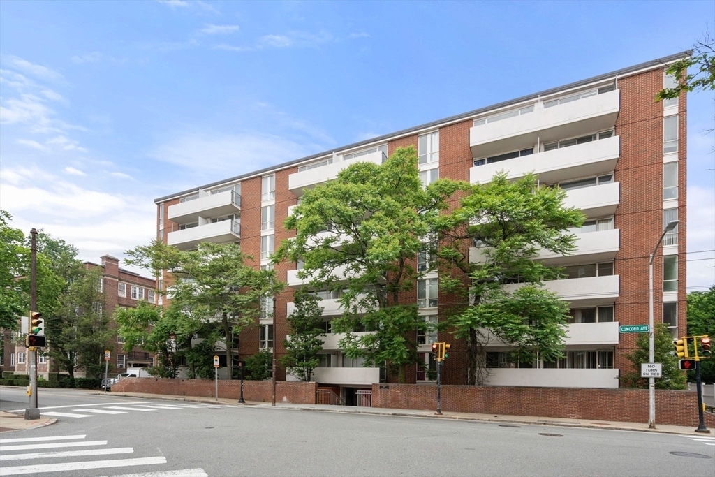 Property Photo: 29 Concord Ave 302 MA 02138