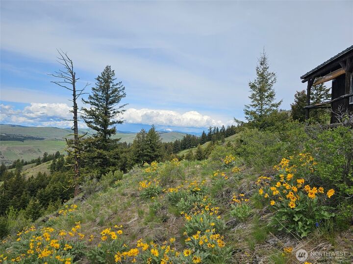 Property Photo:  34  Buckhorn Road  WA 98844 