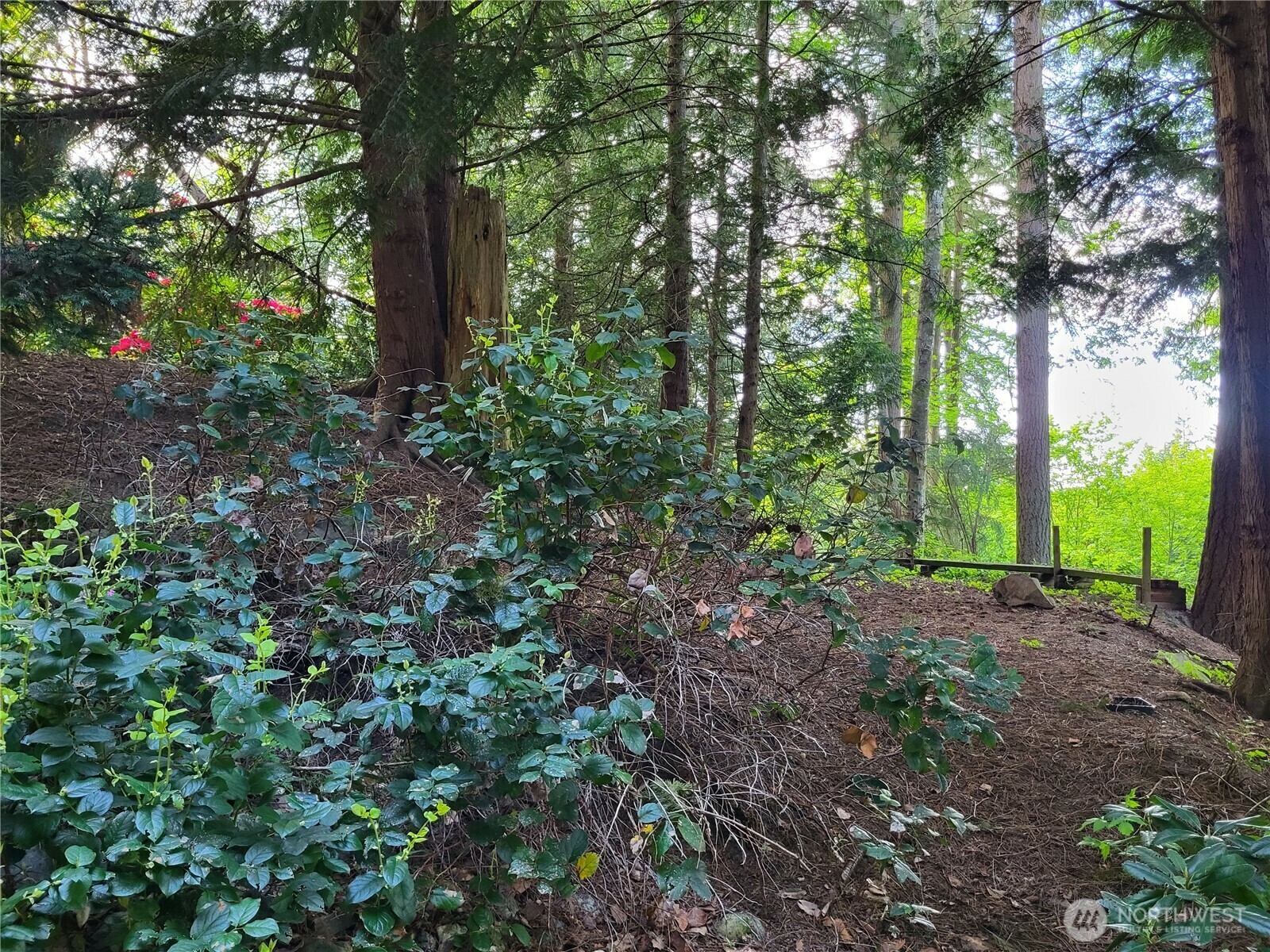 Property Photo: 6308 NE 151st Street WA 98028