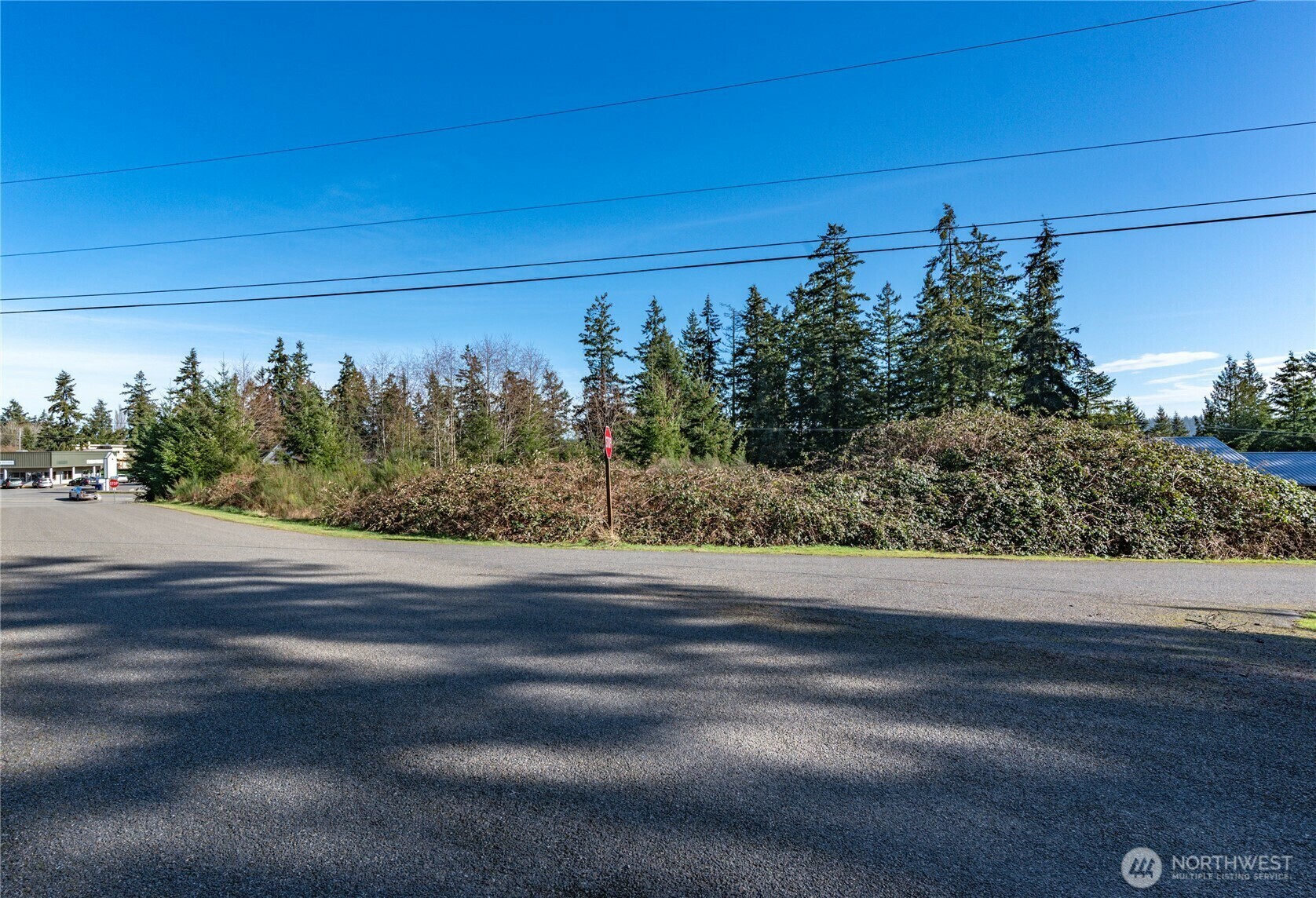 Property Photo: 99 Lylus Lane Lot #1 WA 98339