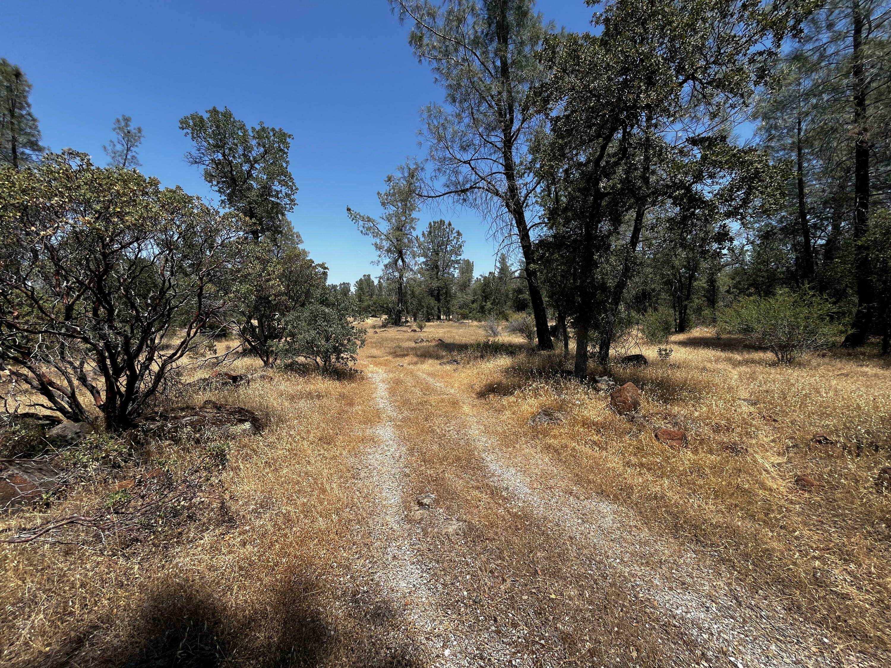 Property Photo: Hobart Road CA 96088