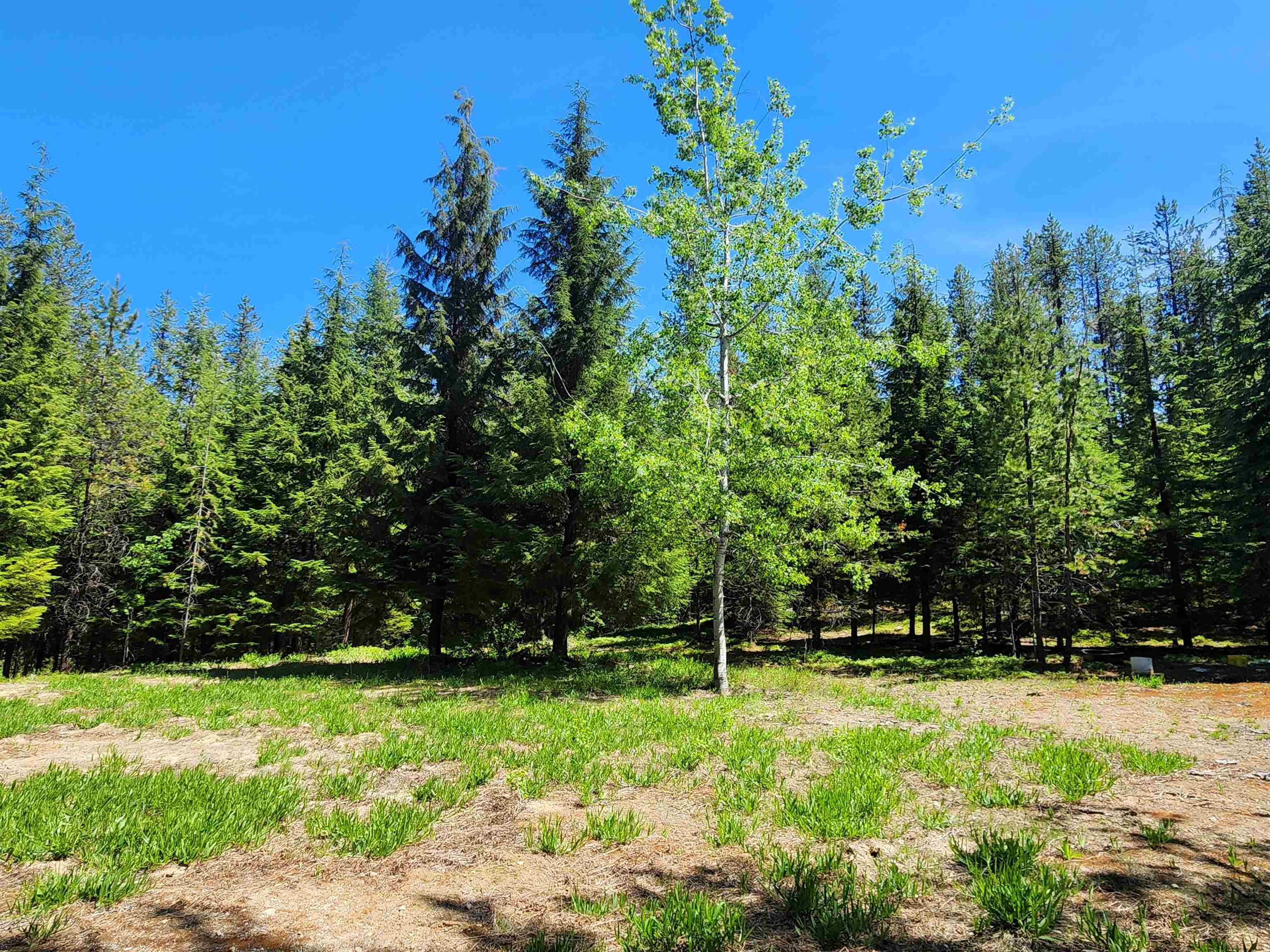 Property Photo: 7450 Ruby Creek Rd WA 99119