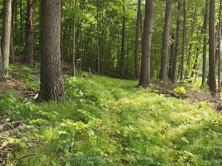 Property Photo:  1680 Calabogie Road  ON K0A 1G0 