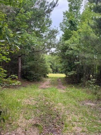 Property Photo: 7082 M W Rickenbaker Road SC 29148