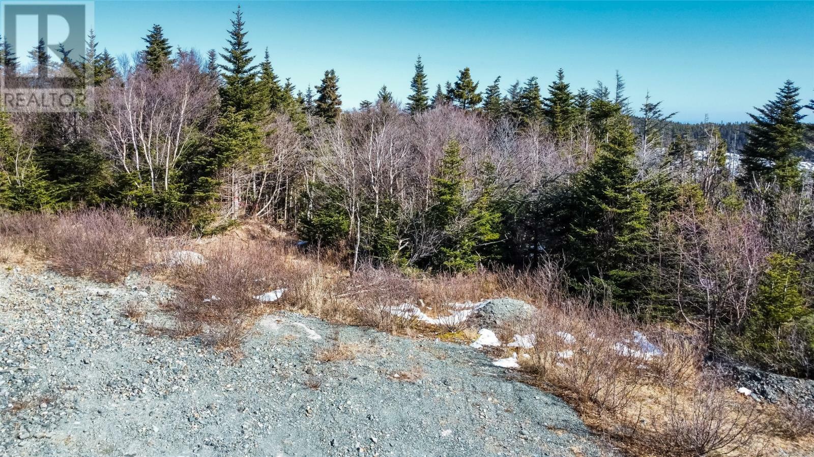 Property Photo:  46-54 Peters Place  NL A1K 1G3 