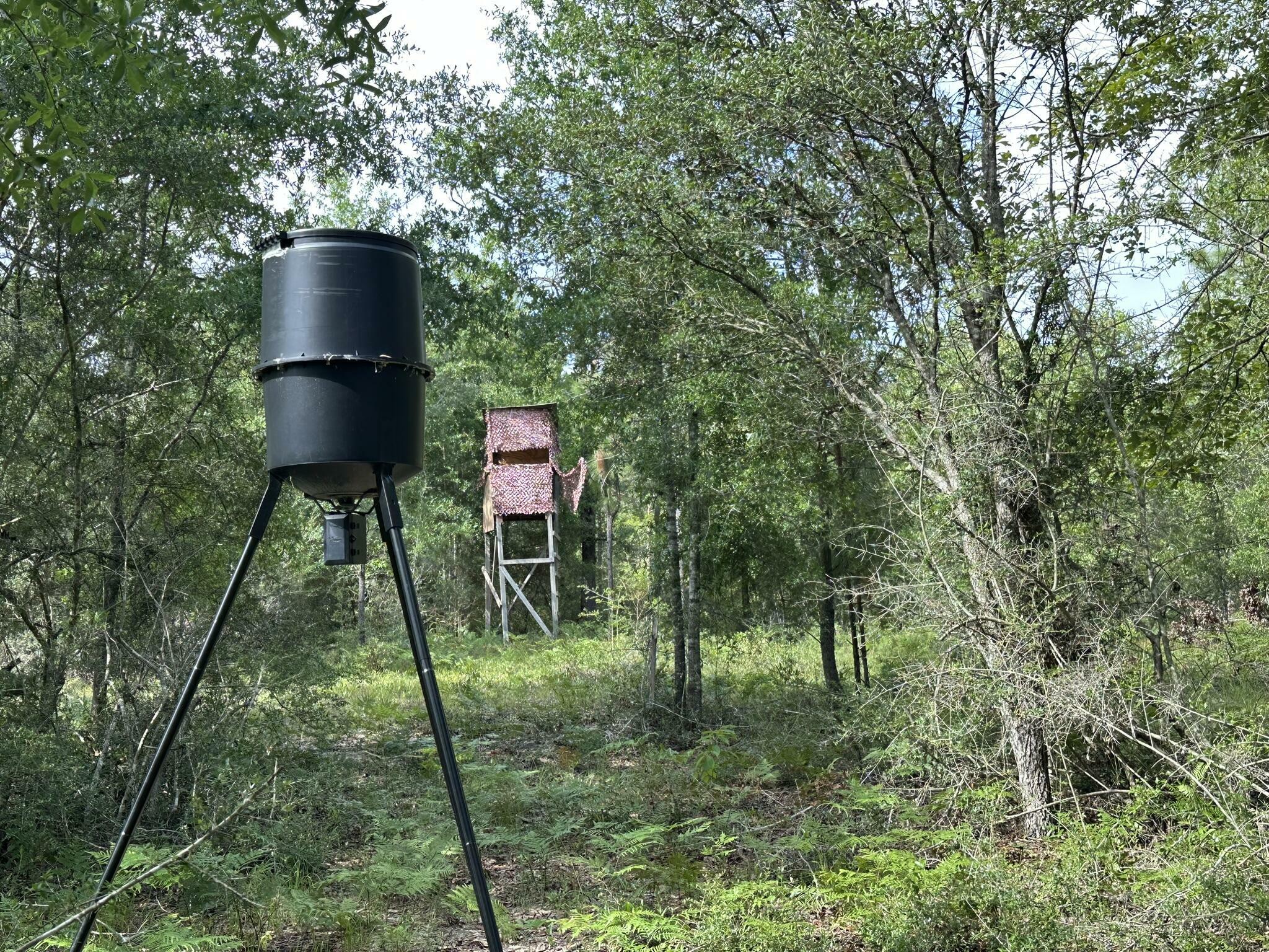 40 Ac +/- Old River Road  Baker FL 32531 photo