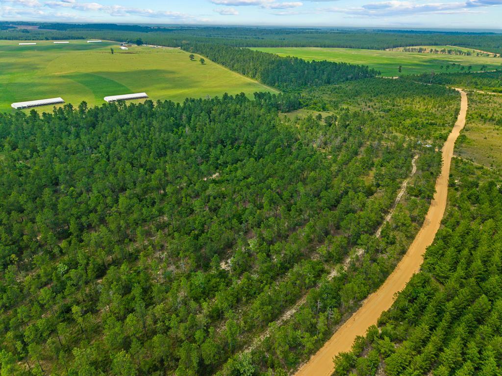 Property Photo:  12 Ac Liberty Road  GA 31058 