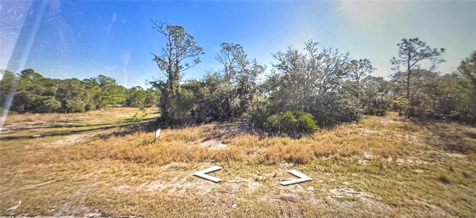 Property Photo:  1331 Congo Drive  FL 34759 