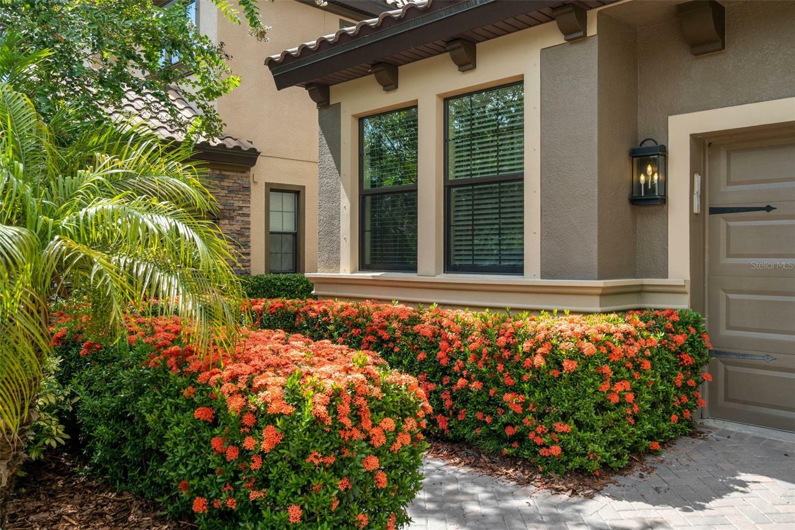 Property Photo: 1391 Marinella Drive FL 34683