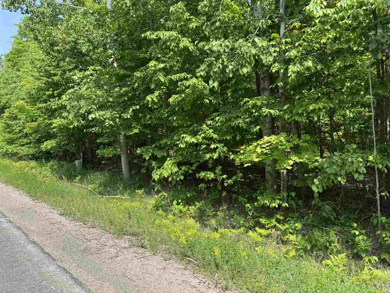 Property Photo: 2199 Mann MI 49721
