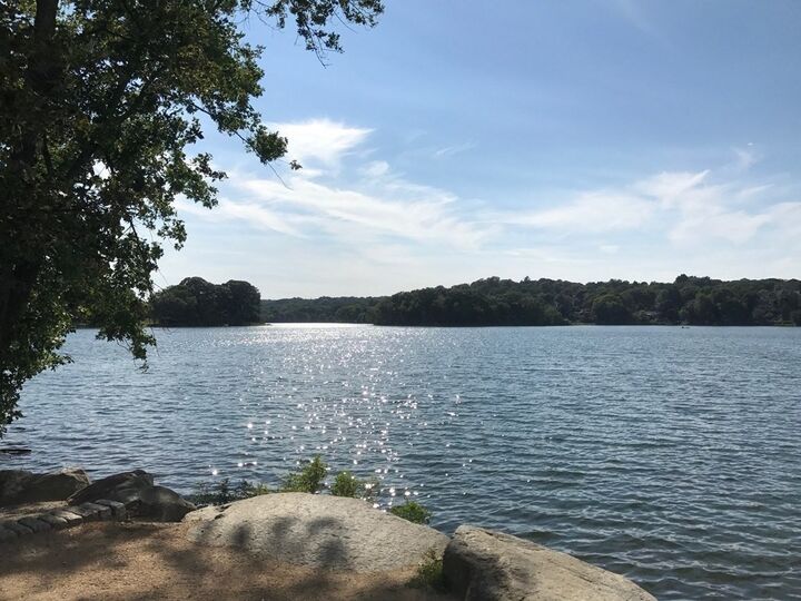 Property Photo:  32 Hamilton Rd 205  MA 02474 