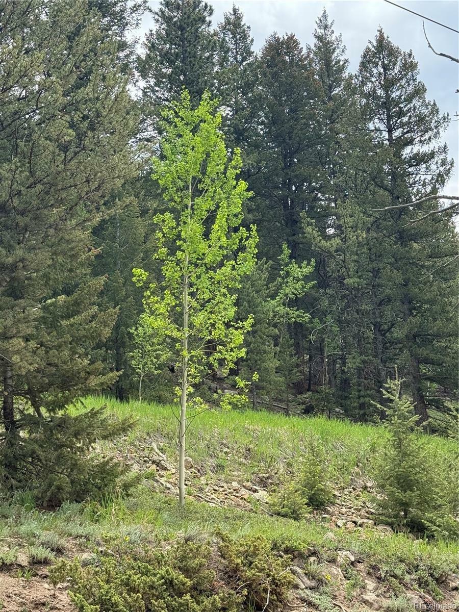 Property Photo: 1700 Dory Hill Road CO 80422