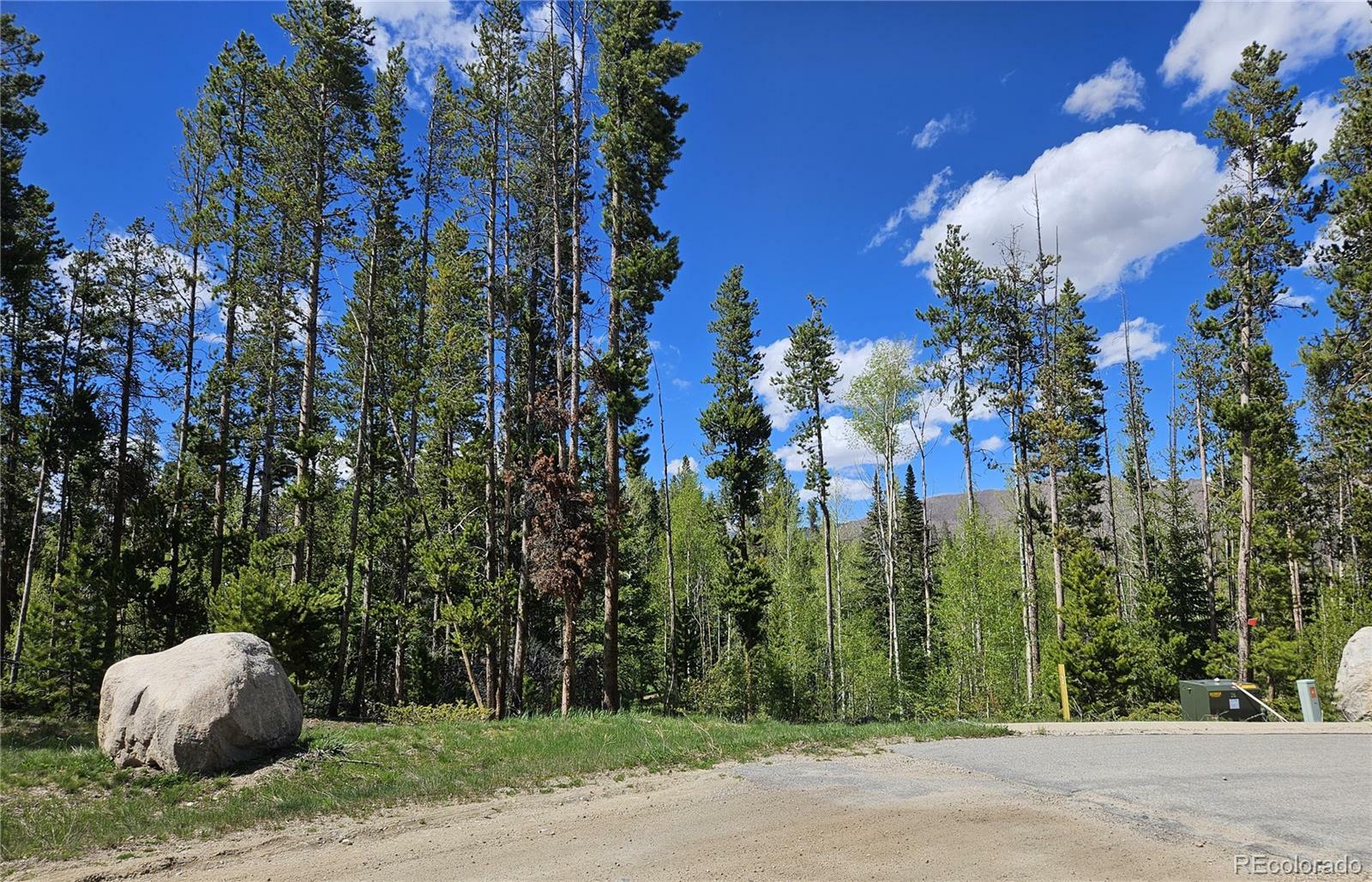 Property Photo: 134 Mad Moose Lane CO 80447