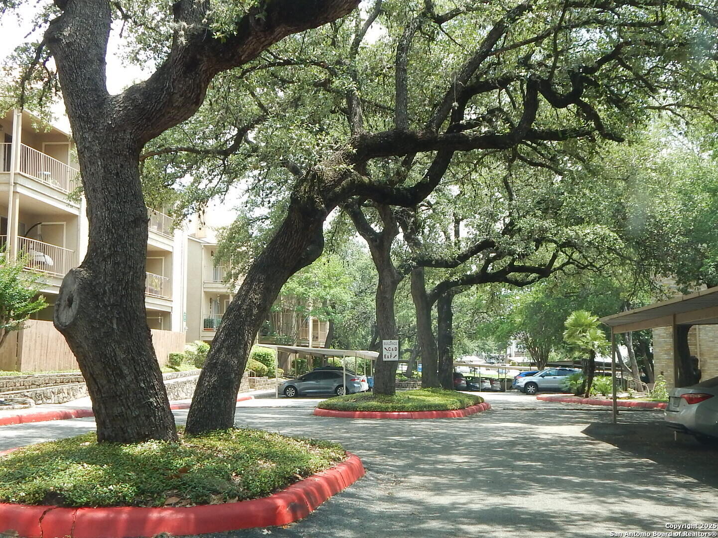 Property Photo:  4119 Medical 304F  TX 78229 