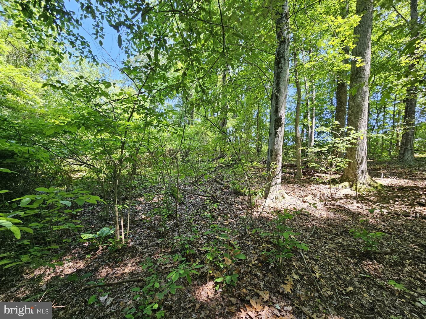 Property Photo: 0 Sandy Run PA 19067