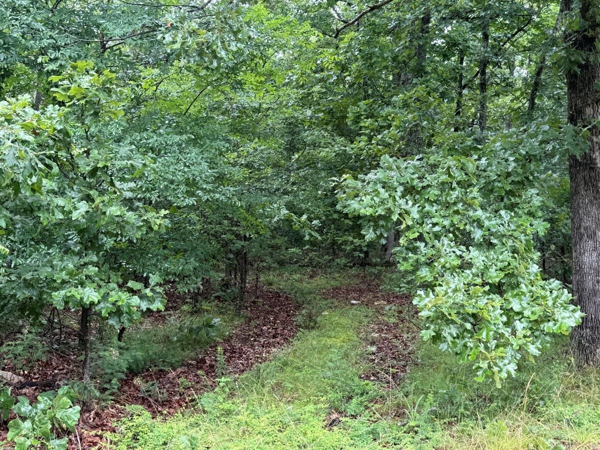 Property Photo: 00 Browns Creek Road AR 72459
