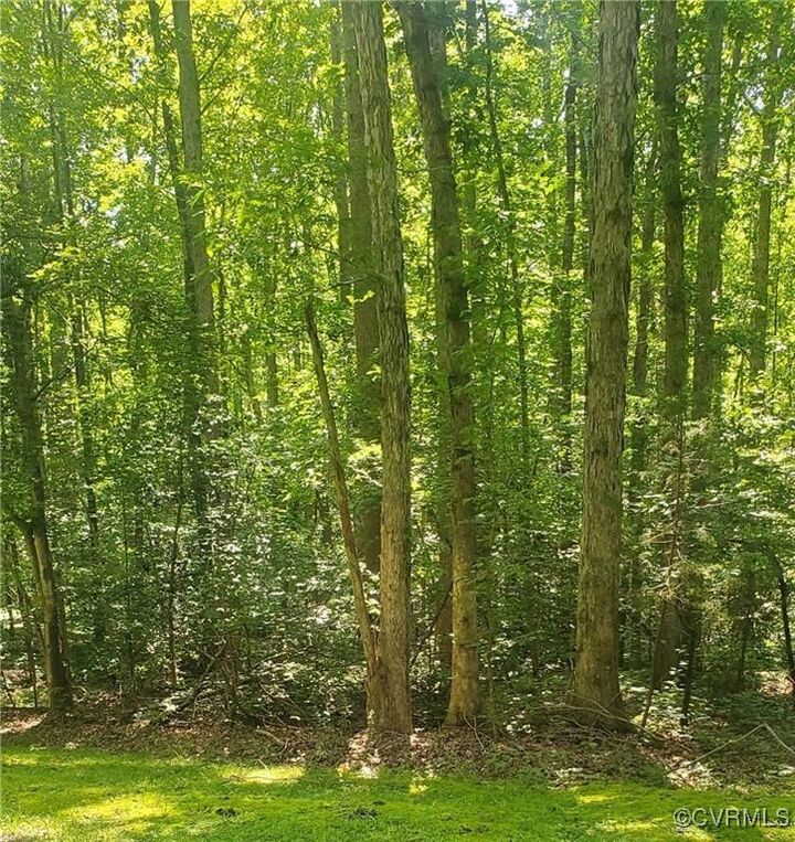 Property Photo:  4601 Hadensville Farm Lane  VA 23117 