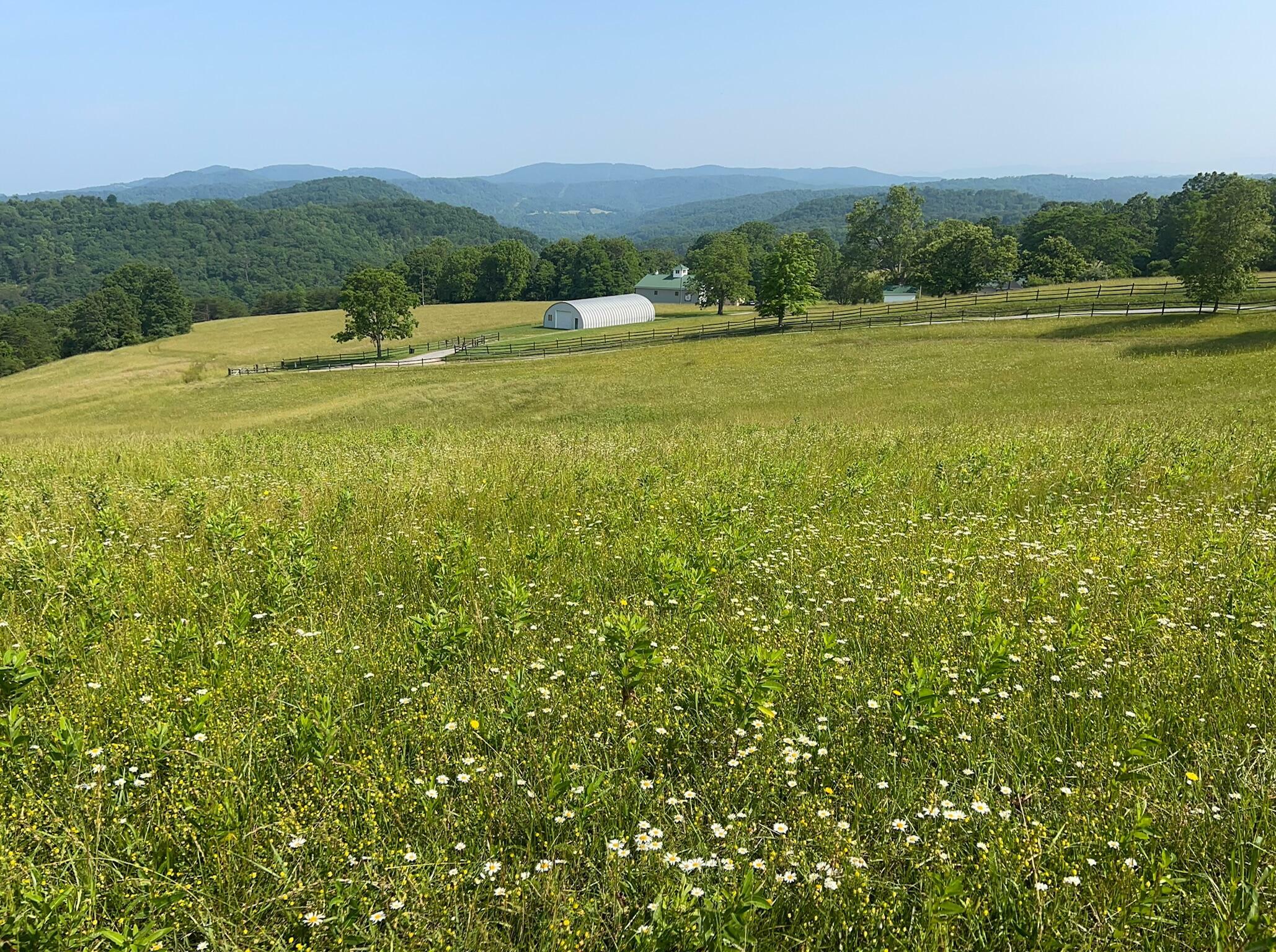 Property Photo: 2358 White Tree Hill Road WV 24918