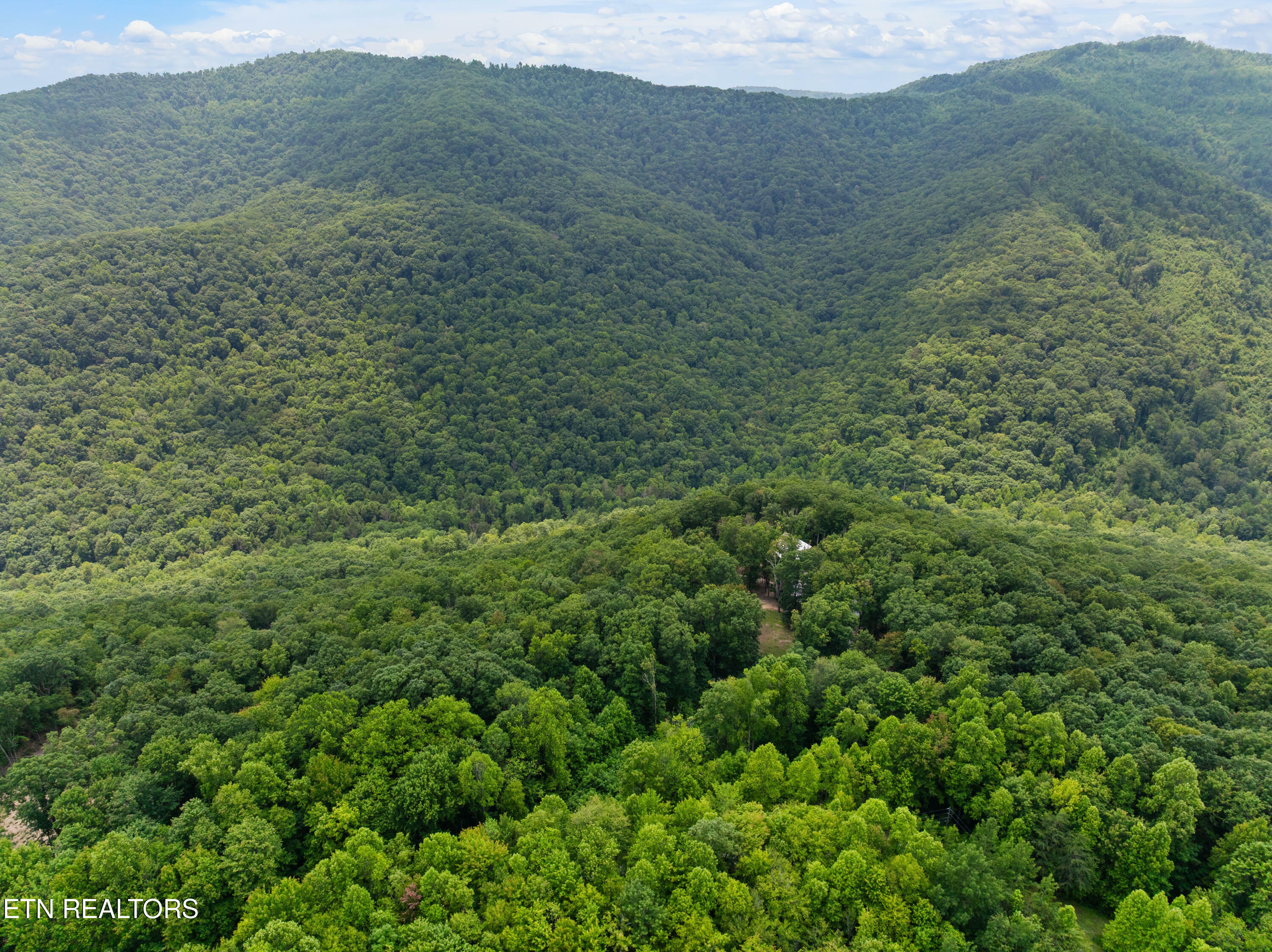 Property Photo: 187 Persimmon Lane TN 37847