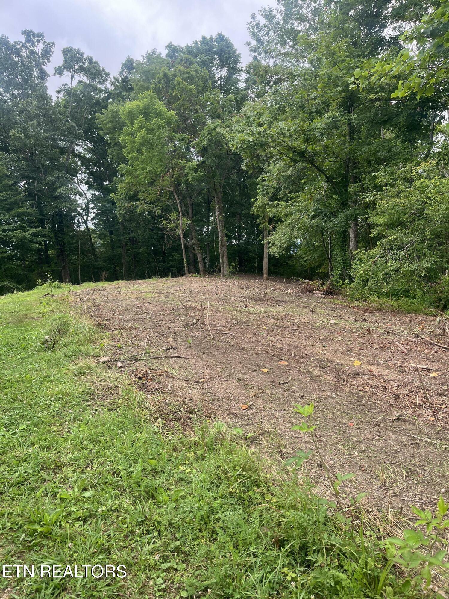 Property Photo:  Tbd Barker Rd  TN 37825 