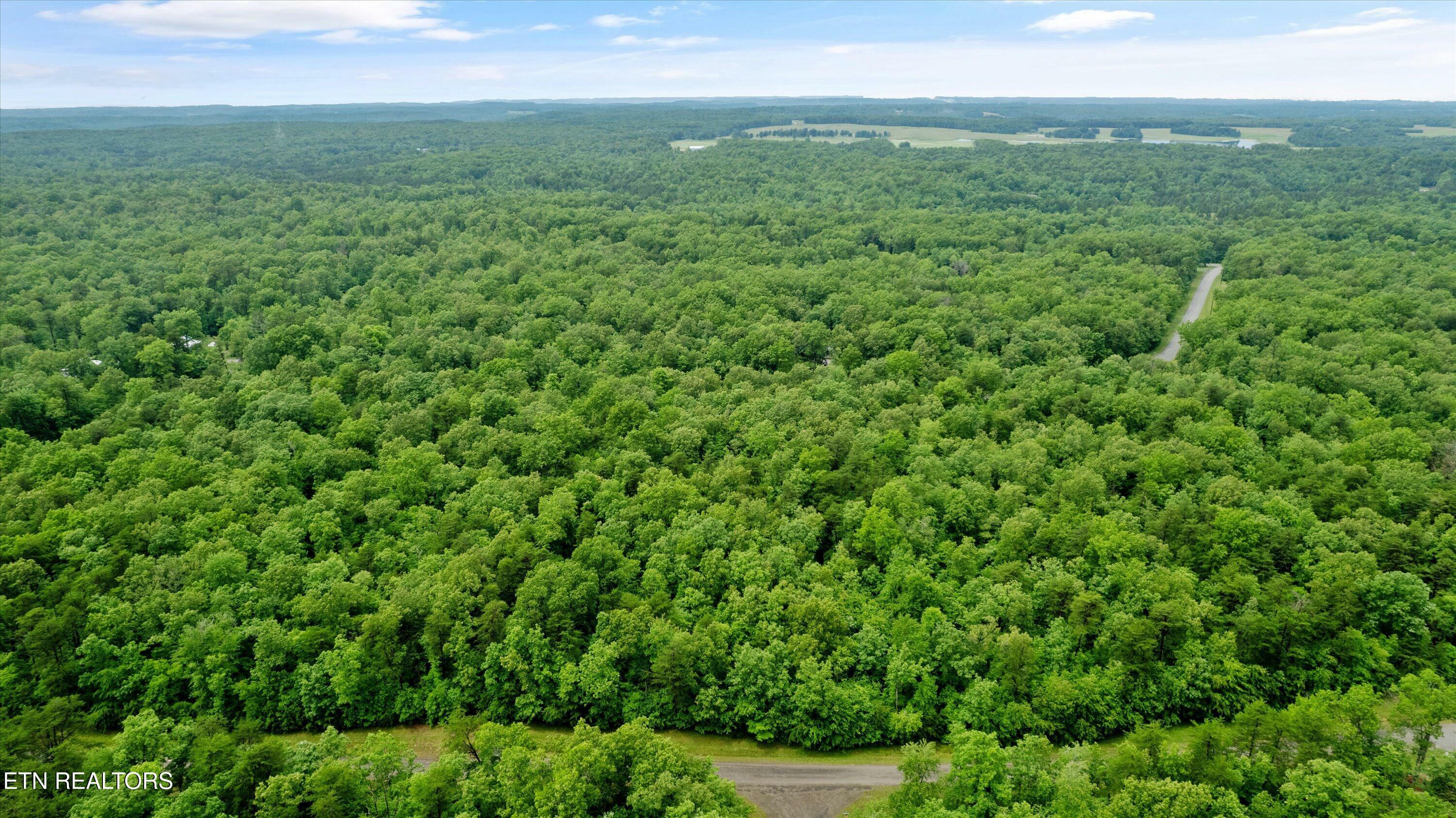 Property Photo: 1.58 Ac Mountain Ash Drive TN 38574