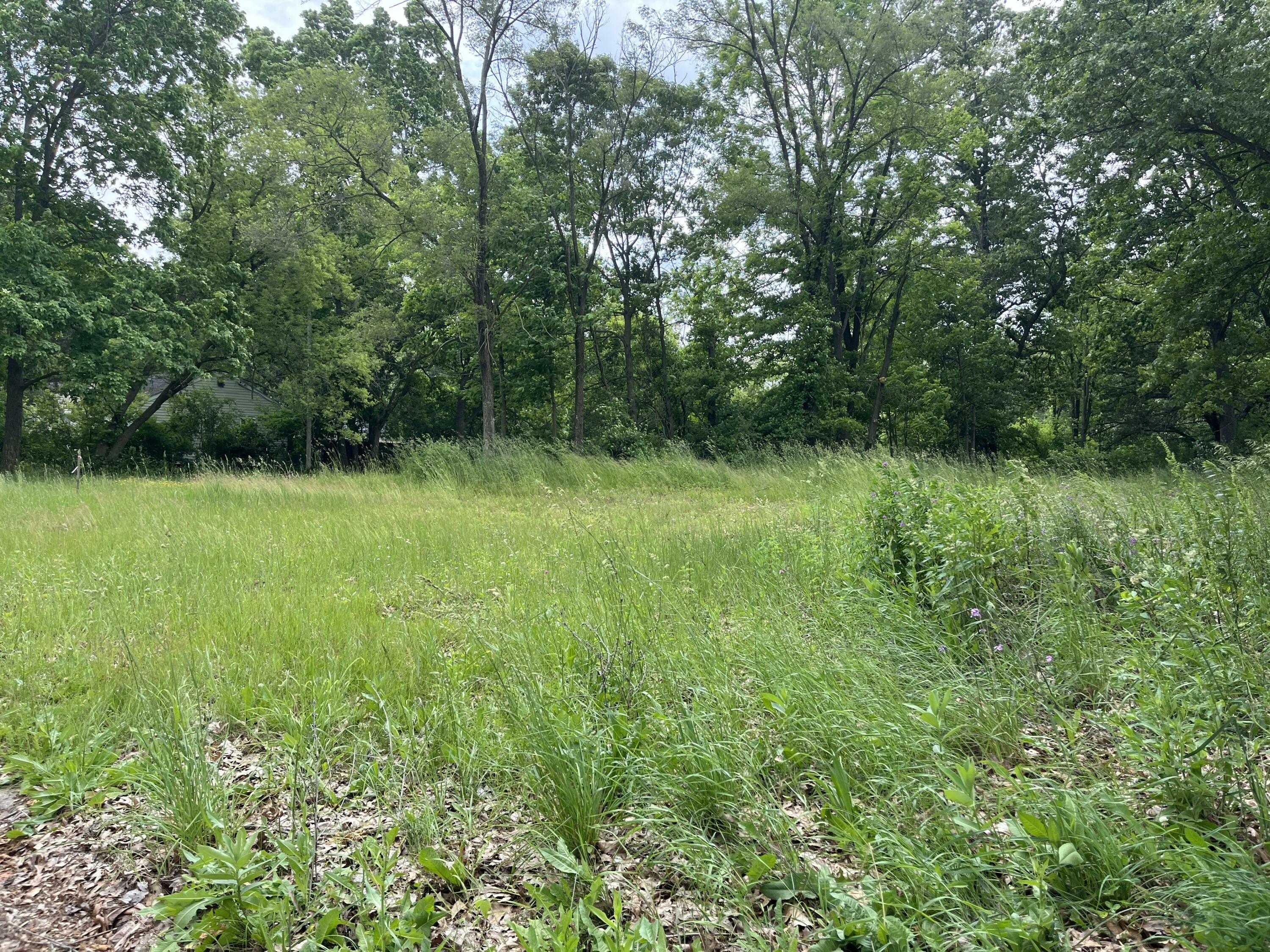 Property Photo: 129 Fox Avenue MI 49037