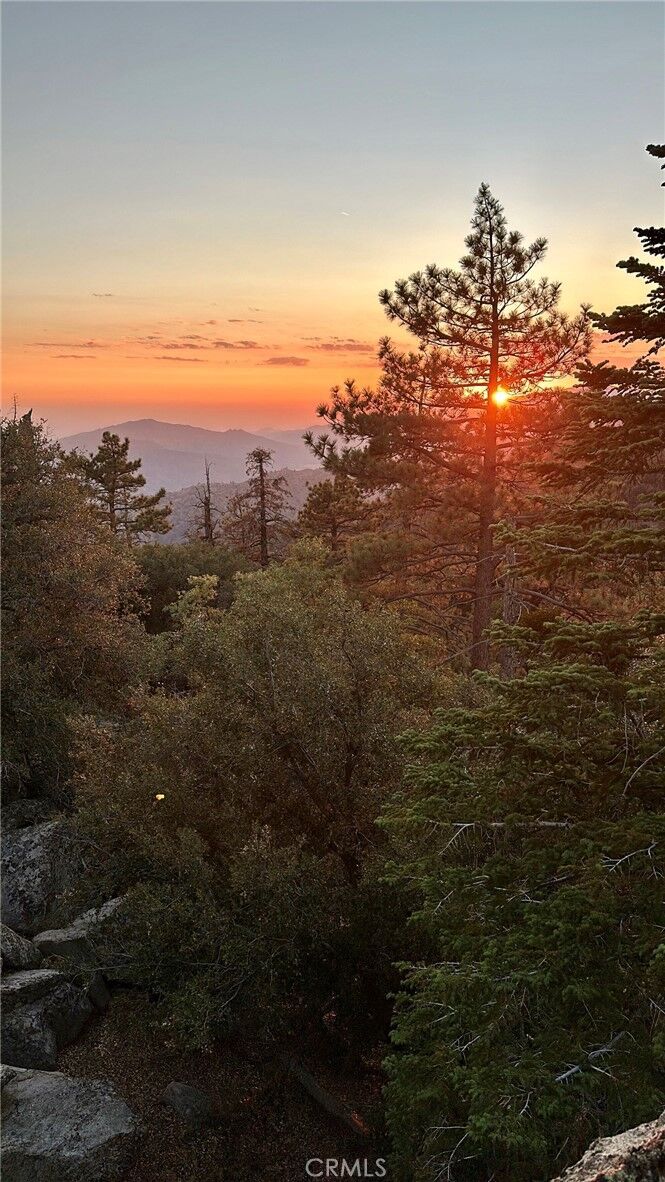 Property Photo:  15331003 Mountain Meadow Road  CA 93518 